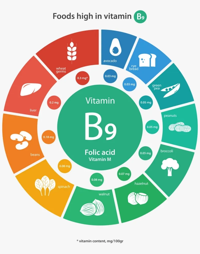 Food rich in vitamin B9 - infographic