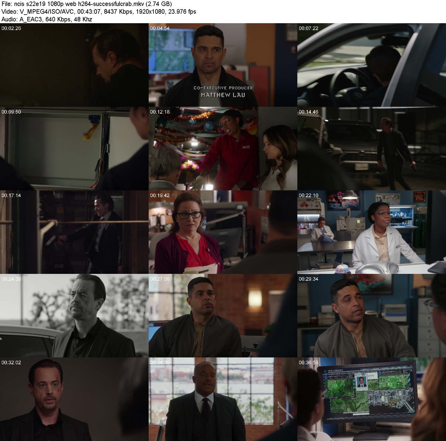 [Image: pw4xy0k3i0vz.jpg]