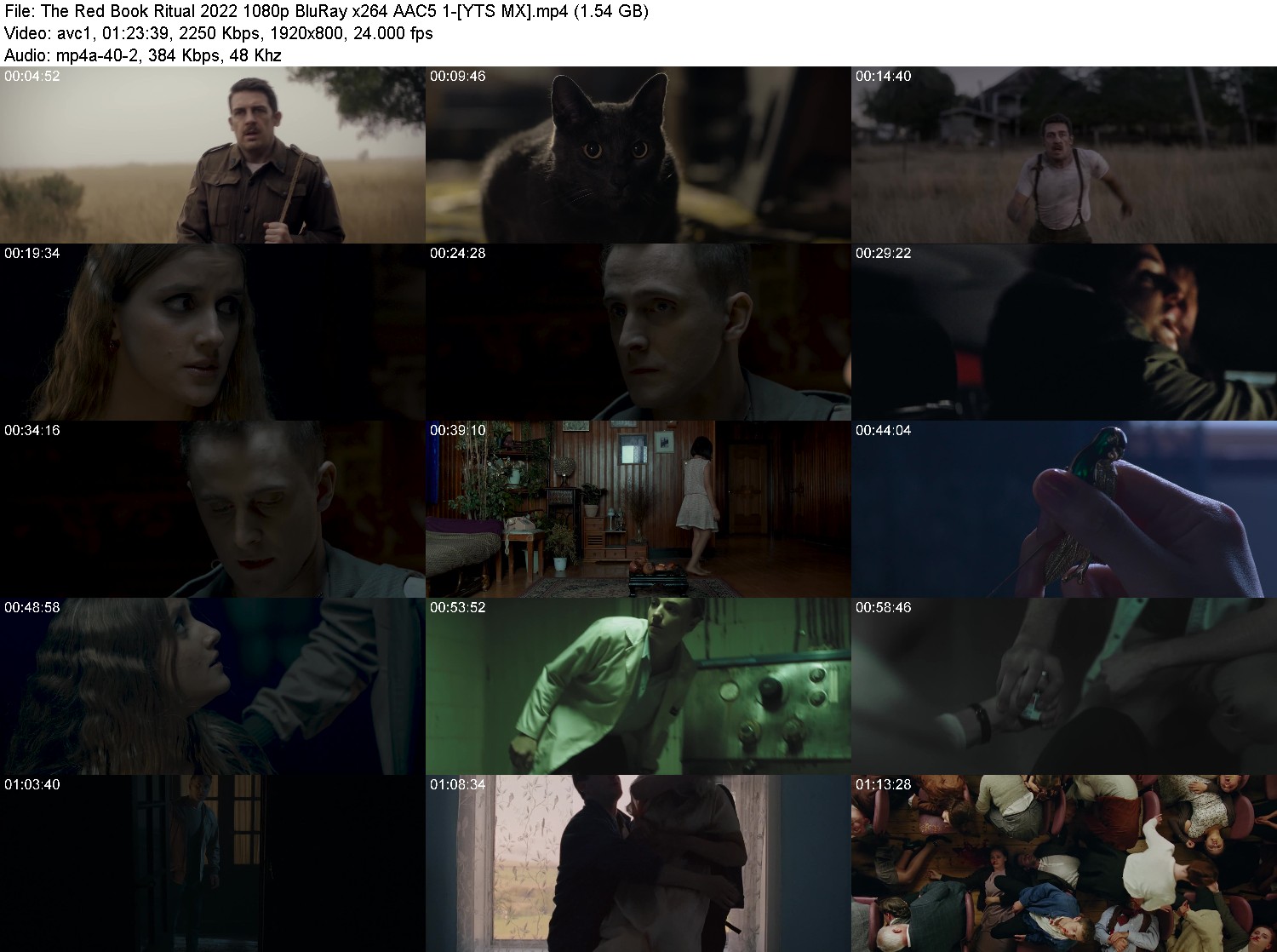 [Image: jn8d33ecsva8.jpg]