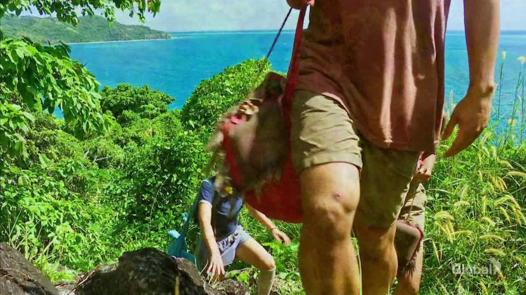 [Image: s8l7vimha7n5.jpg]