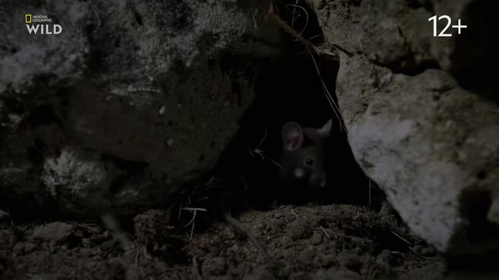 [Image: 9d5cle3x1sdn.jpg]