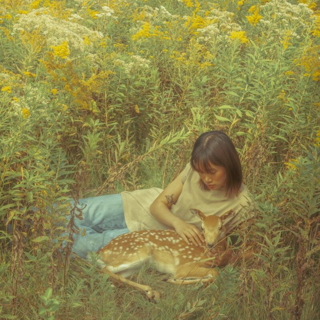 [Image: z4xyl63hp3sd.jpg]