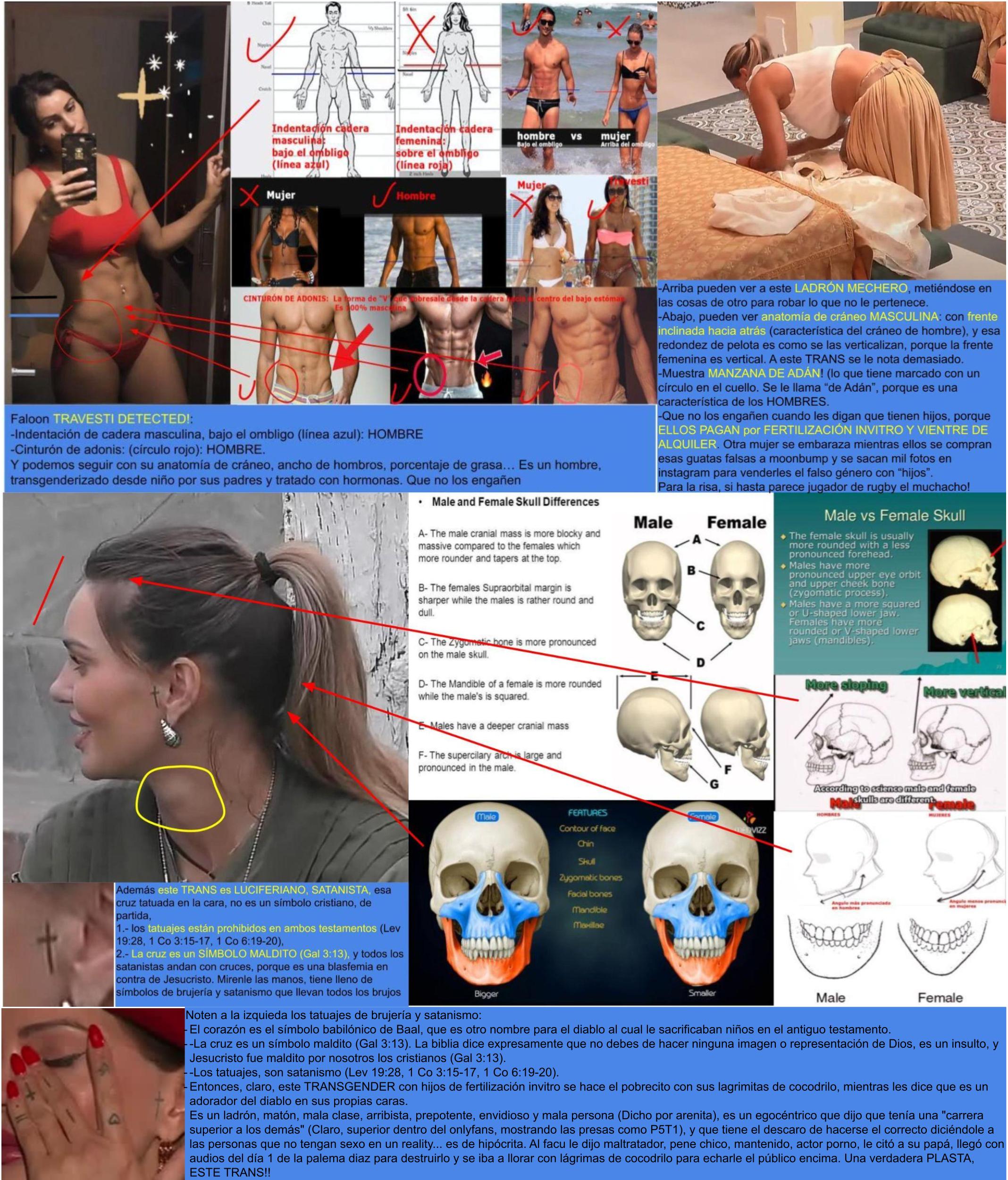 FALOON-travesti-con-tatuajes-full-367456754.jpg