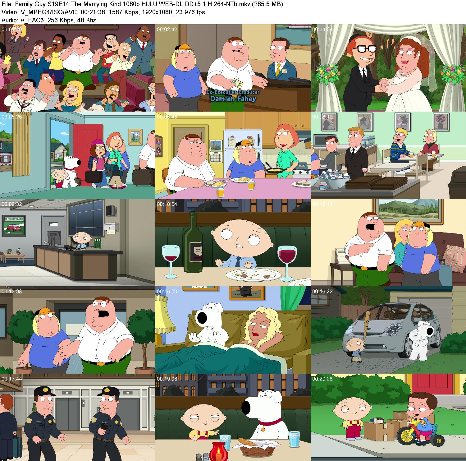 Family-Guy-S19-E14-The-Marrying-Kind-108