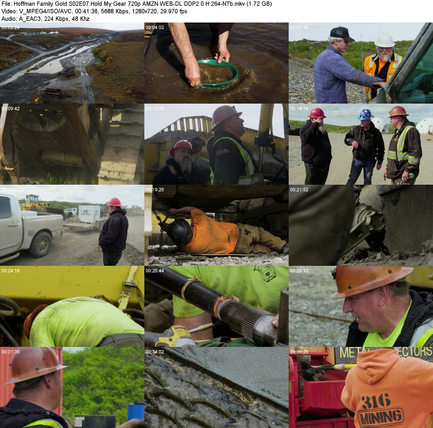 [Image: binji2a9c49t.jpg]