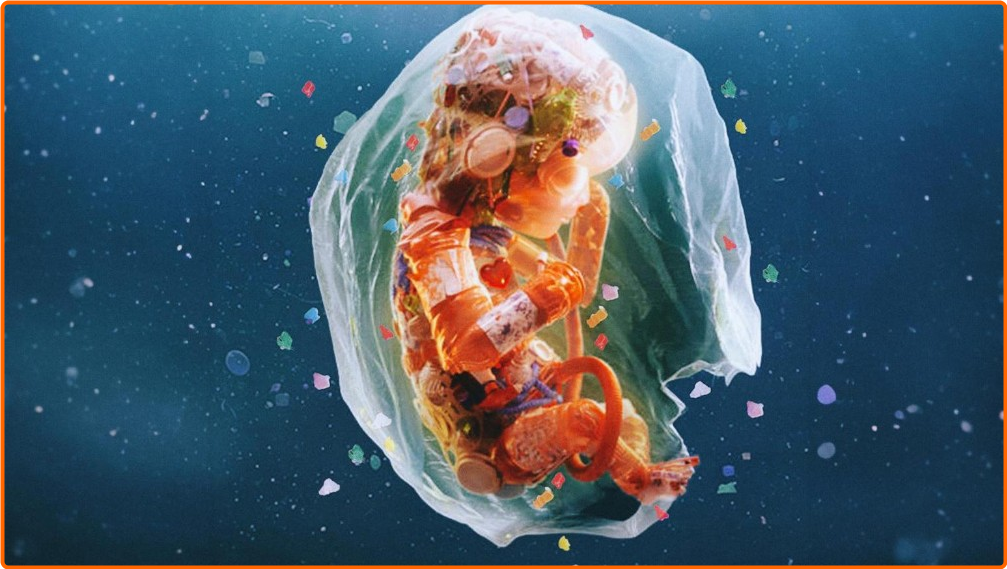 [Image: m8hcr95rc3qr.png]