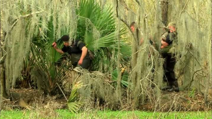 [Image: xqm277kqpcq9.jpg]