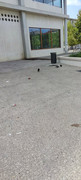 https://i.postimg.cc/LJ2GTJM1/IMG-20240815-115609-1.jpg