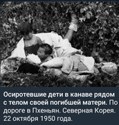 https://i.postimg.cc/LJ6GqDGk/photo-2026-09-15-01-40-21.jpg