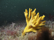 06004_11-01-3TH-00044