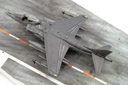 Harrier-10.jpg