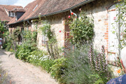 IMG-4215.jpg