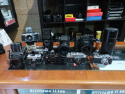 IMG-20211222-113345