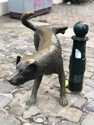 chien.jpg