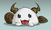 poro (33)
