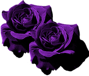 MVDLavender-Love-109