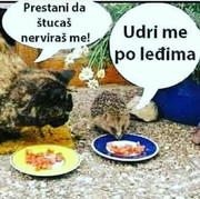 Slika