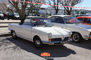 IMG-6119