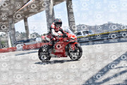 DSC-0444
