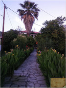 Image00053