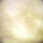 Z-Beautiful-Xmas-Papers-7