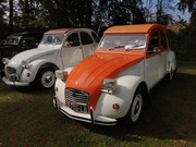 IMG-20220911-111728.jpg
