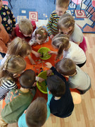 IMG_20250314_092925_122@-387119556