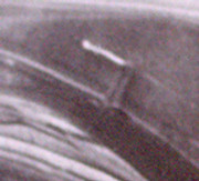 22-cv-berline-salon-detail-vv.jpg