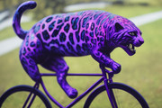 purple_jaguar_06