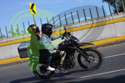 DSC-0696