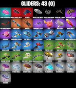 gliders-comp