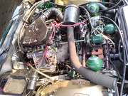 P-20220306-114421-v-HDR-On.jpg
