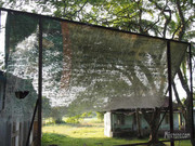 BBG&B20KazirangaAndMajuli - 13