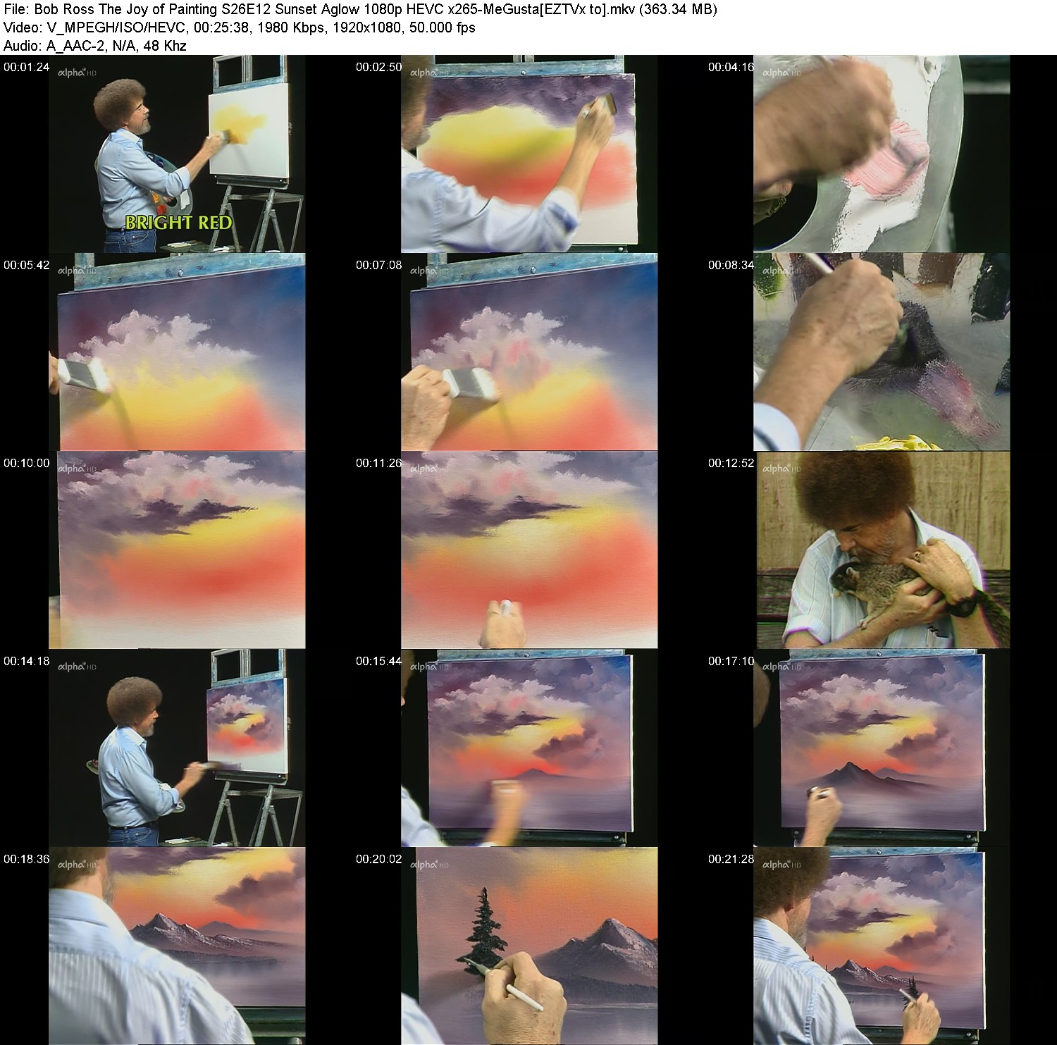 [Image: hhoh2cv16dy6.jpg]