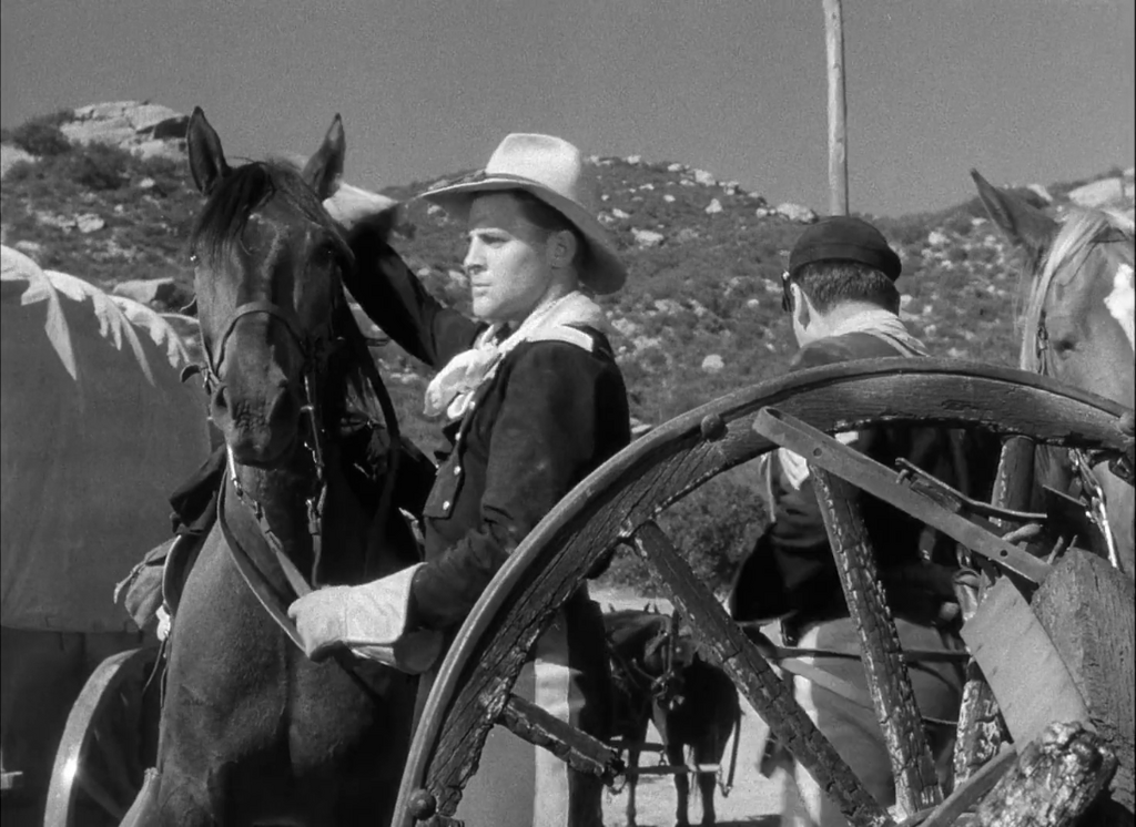 [Image: r6q5u4cy7dir.png]