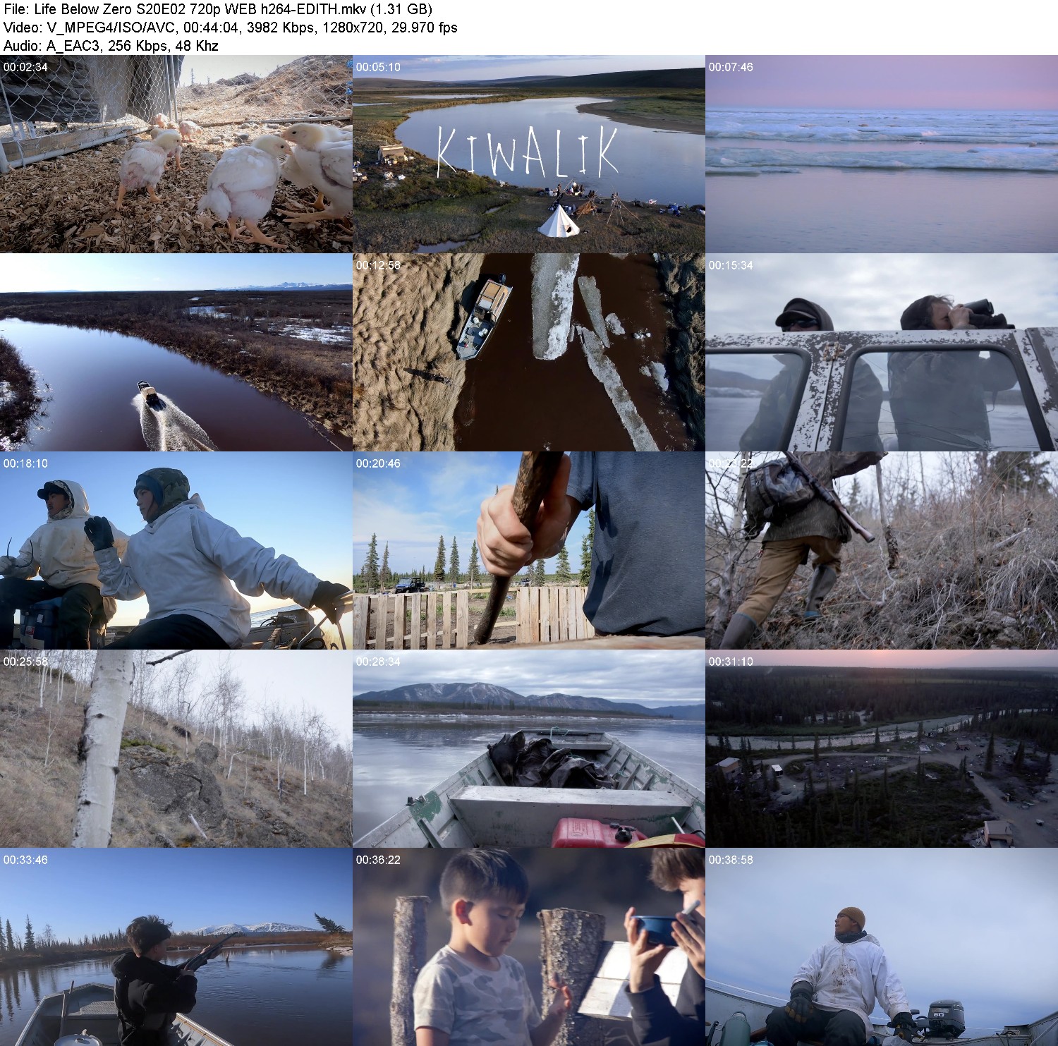 [Image: g60q19pmufty.jpg]