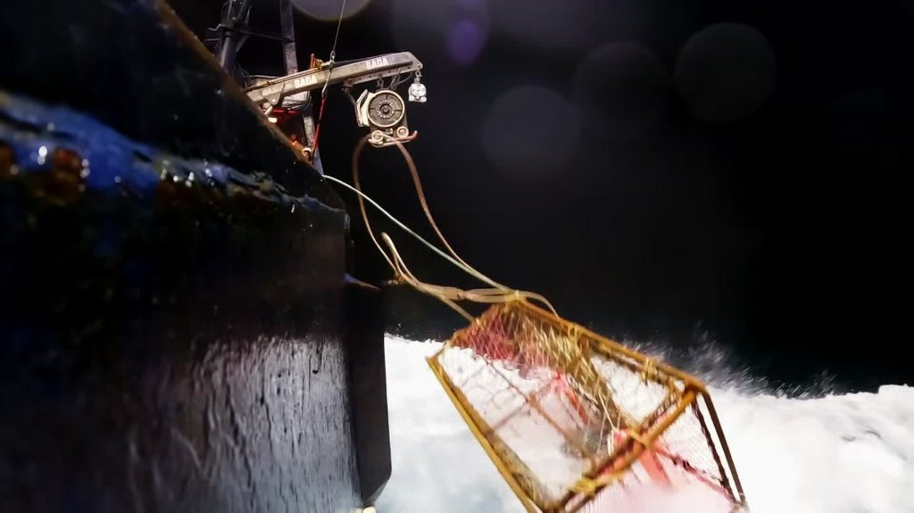 [Image: mnk7rxtn678c.jpg]