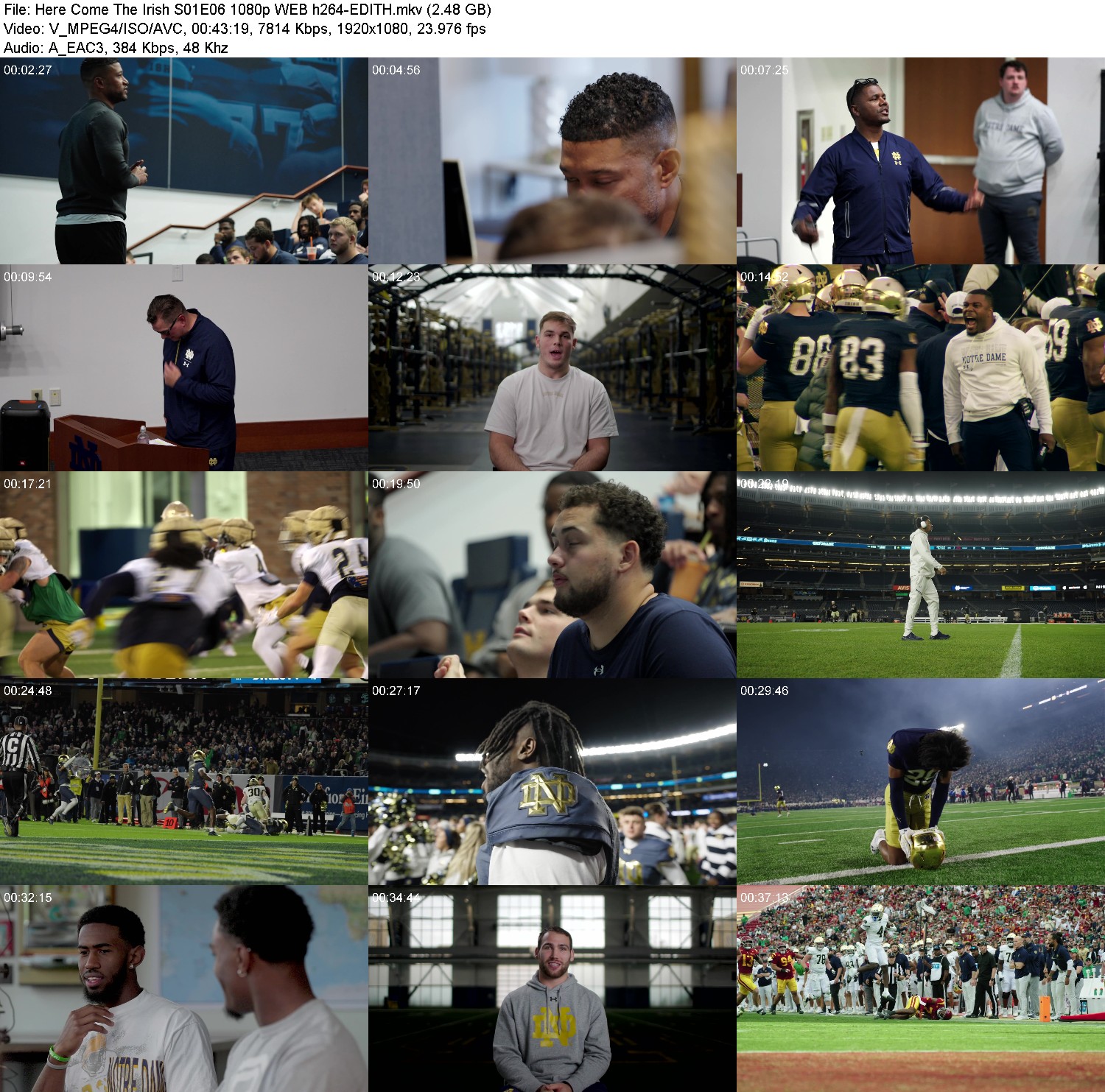 [Image: sr73tzszqw98.jpg]