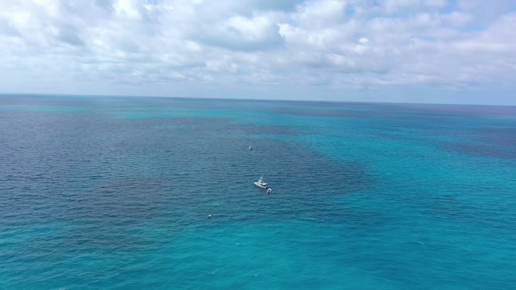 [Image: 08hu7x2rwdjg.png]