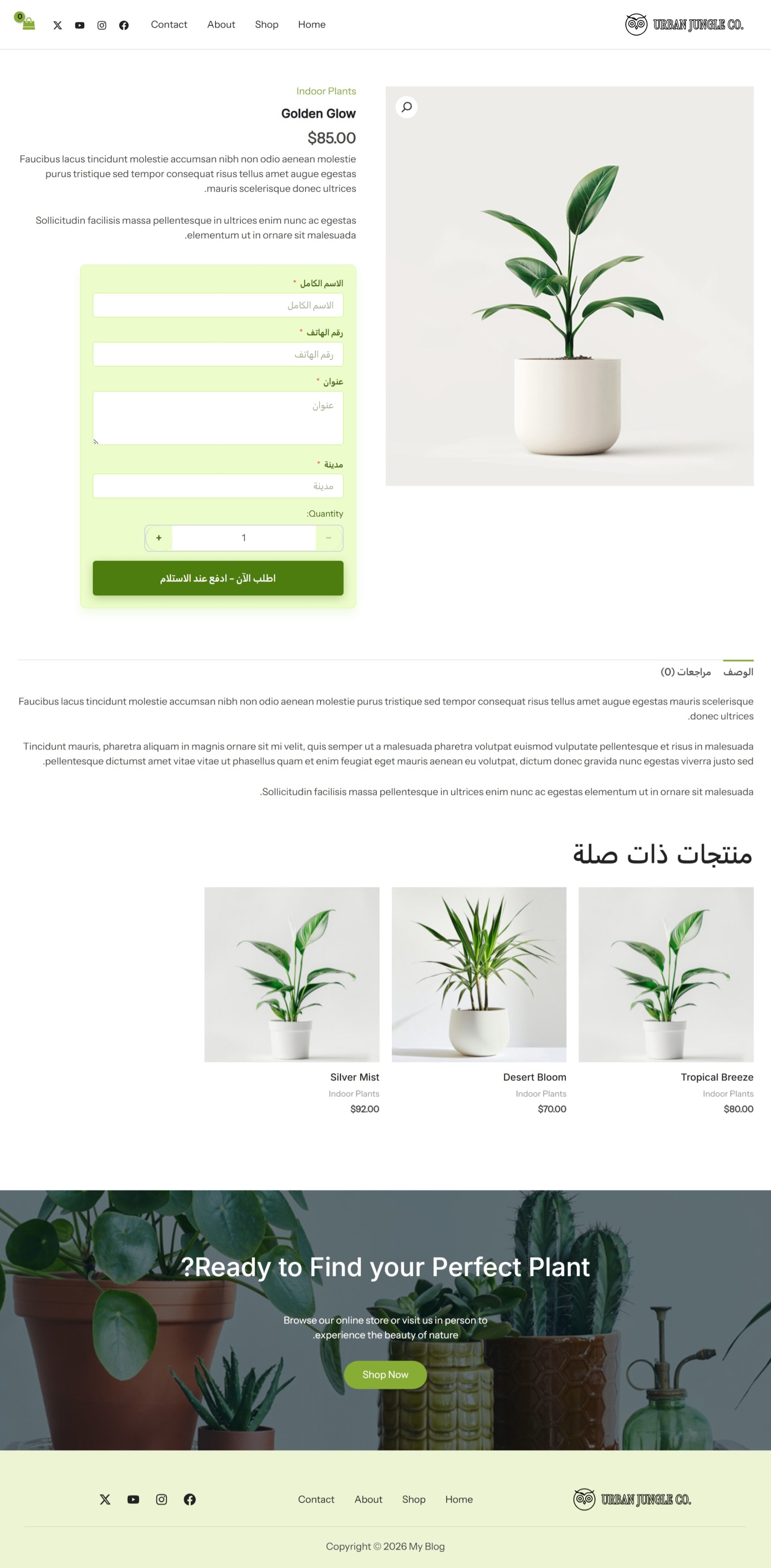 Store Demo 4