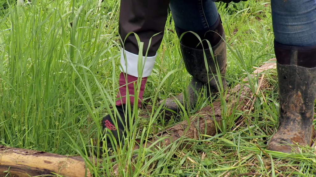 [Image: htqxt518p3pp.png]