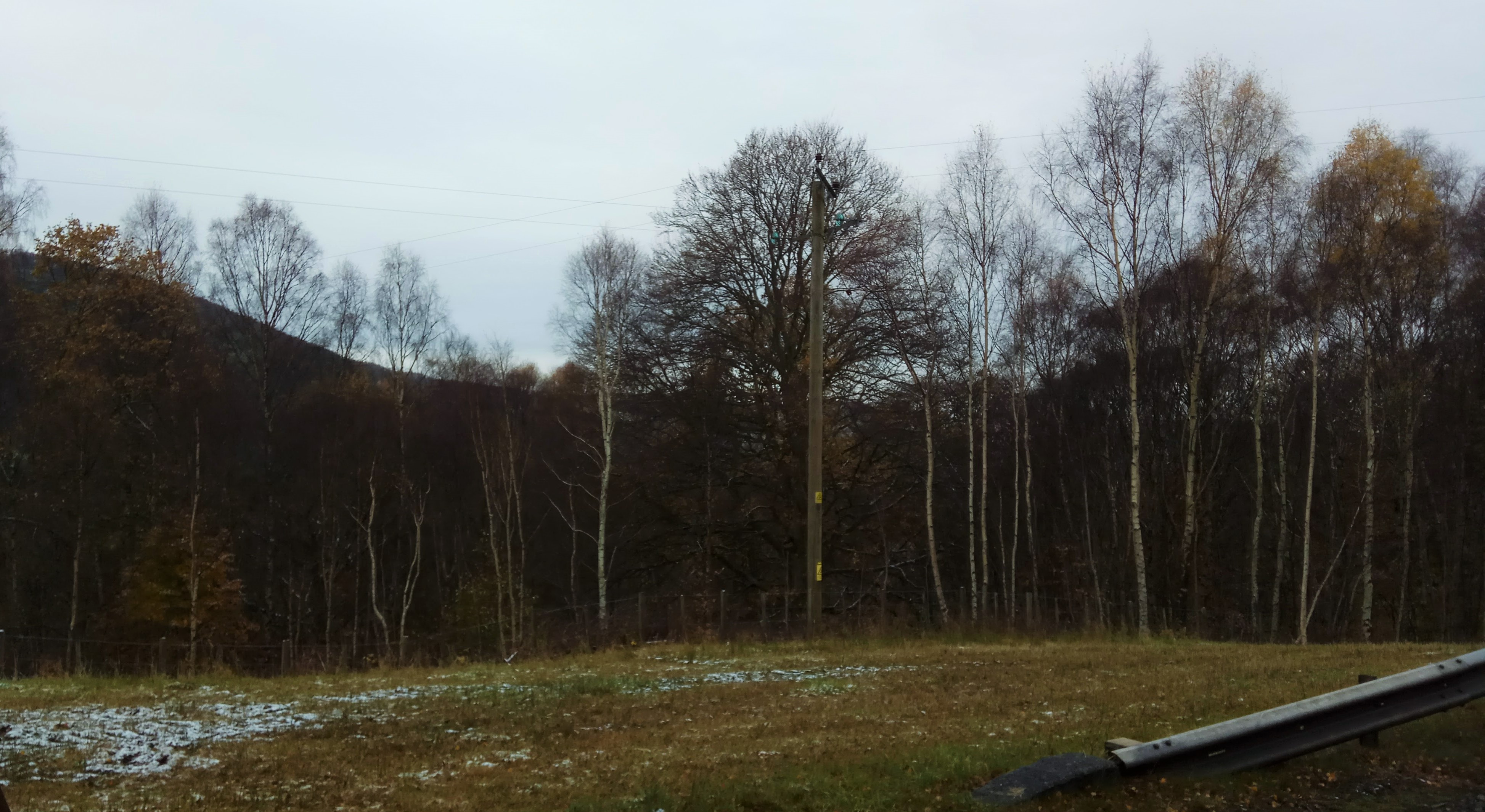 IMG-20171113-112713.jpg