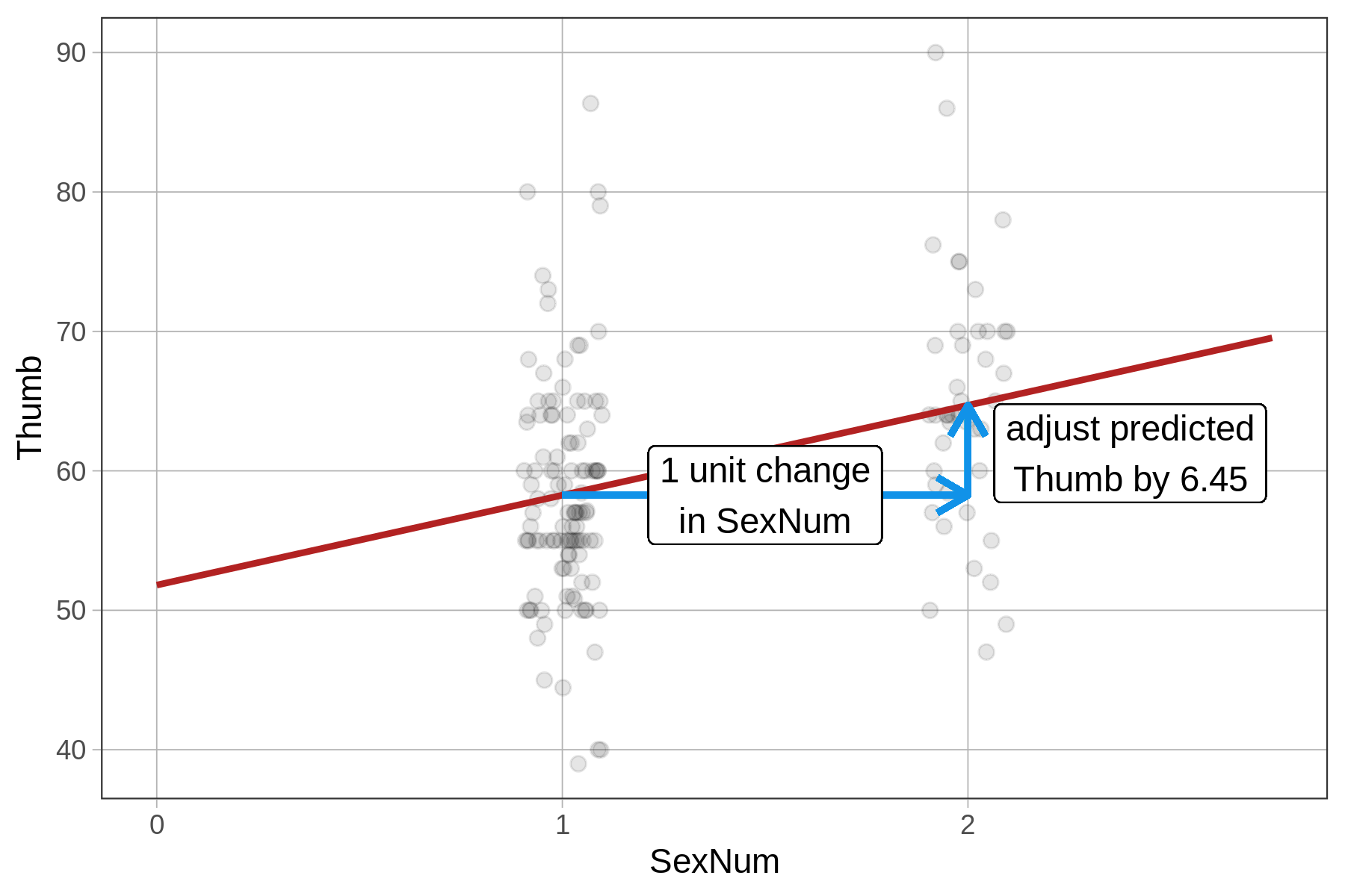 On the right, a representation of b-sub-one of the SexNum model, an accidental regression model, as a jitter plot of Thumb predicted by Sex (female and male), with the model overlaid as a regression line running through the mean of each group. The horizontal distance between each group is labeled as the one unit change in SexNum, and the vertical distance between each group mean is labeled to say that we adjust predicted Thumb by 6.45.