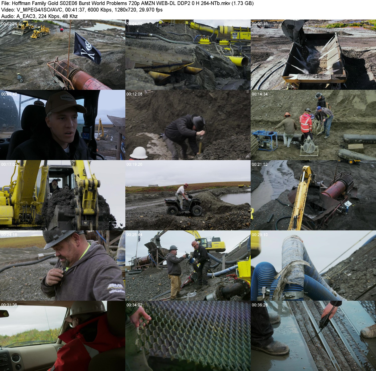 [Image: cw8b8oyrdc91.jpg]