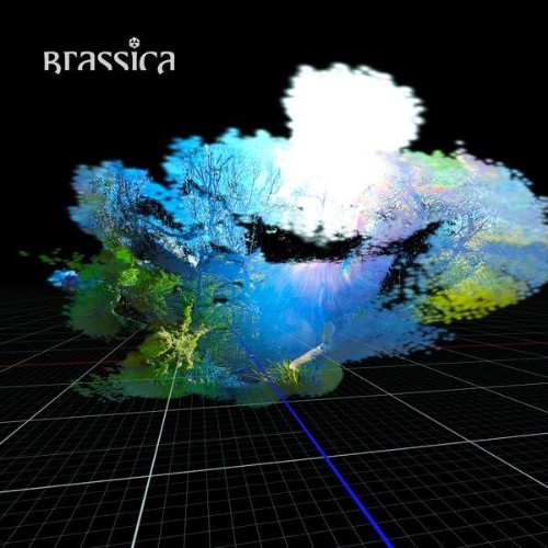 Brassica-CAGE-HC004-24BIT-WEB-FLAC-2026-