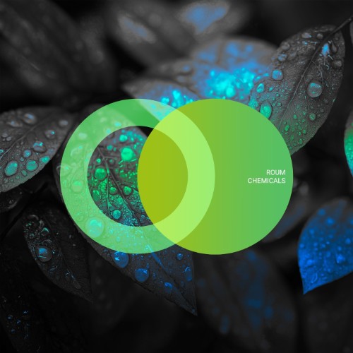 Roum - Chemicals (2026) MP3