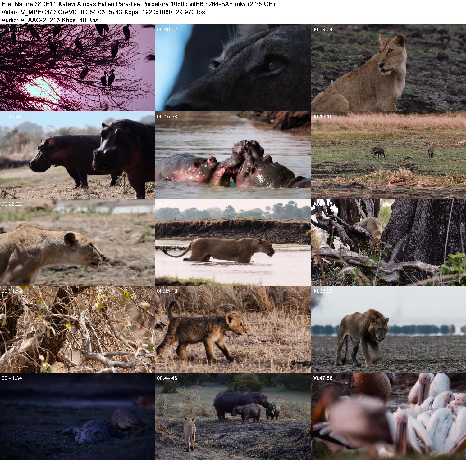 [Image: 22sfcqk1xyg0.jpg]