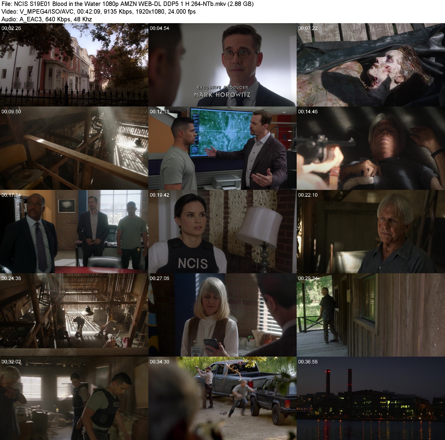 [Image: fbva3t3hc25v.jpg]