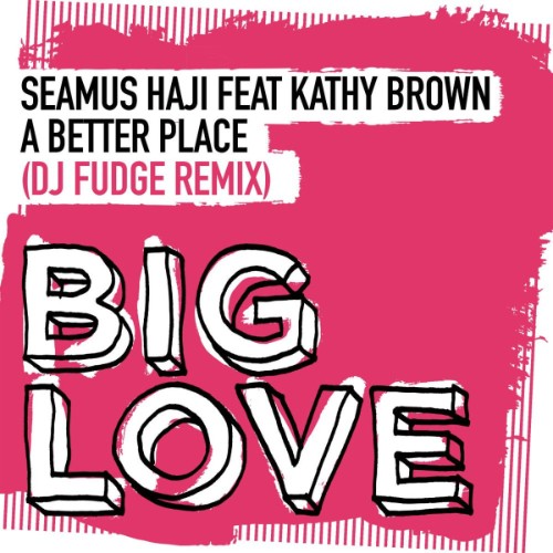 Seamus Haji feat Kathy Brown - A Better Place (DJ Fudge Remix) (2026) MP3
