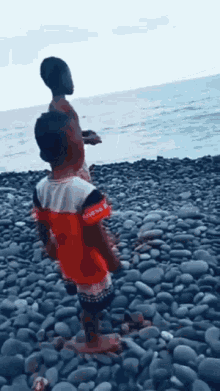 rock-toss-sh.gif